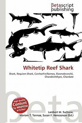 Whitetip Reef Shark
