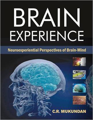 Brain Experience 01 Edition