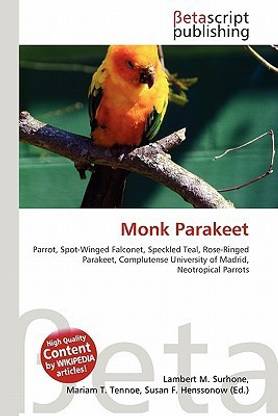 Monk Parakeet