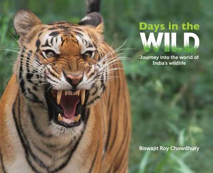 Days in the Wild  - Journey into the World of India's Wildlife