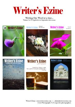 Writer's Ezine (Set of 6 Volumes)  - April to September 2014 Issues