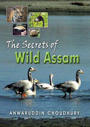 The Secrets of Wild Assam