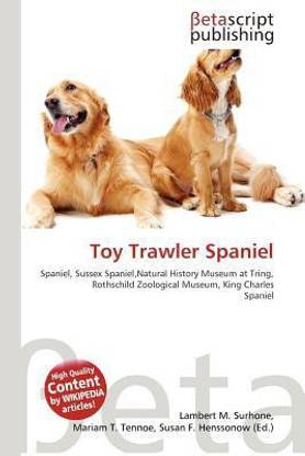 Toy Trawler Spaniel