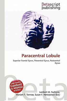 Paracentral Lobule