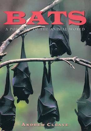 Bats