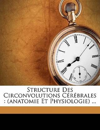 Structure des circonvolutions cerebrales