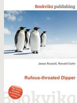 Rufous-Throated Dipper