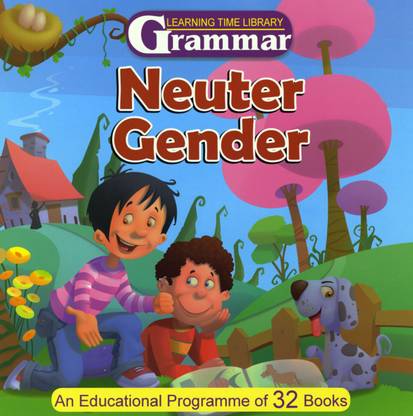 Learning Time Library Grammar Neuter Gender