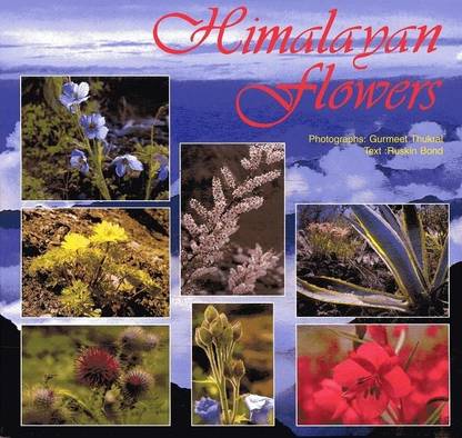 Beyond the Tiger:Portraits of Asian Wildlife