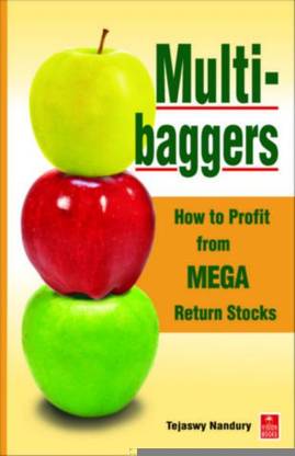Multibaggers: How to Profit from MEGA Return Stocks