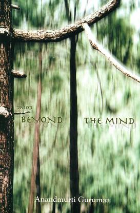 Going Beyond the Mind