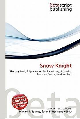Snow Knight