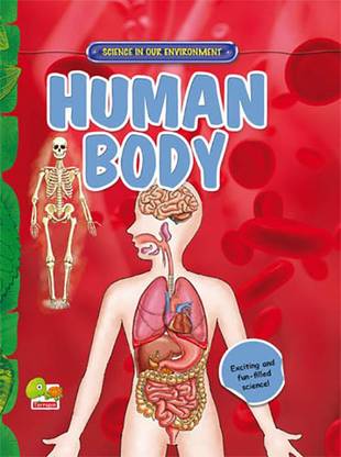 Human Body: Key stage 2