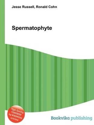 Spermatophyte