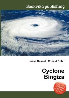 Cyclone Bingiza