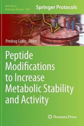 Peptide Modifications to Increase Metabolic Stability and Activity