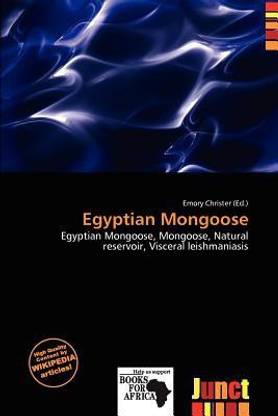 Egyptian Mongoose