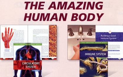 The Amazing Human Body (Group 1)