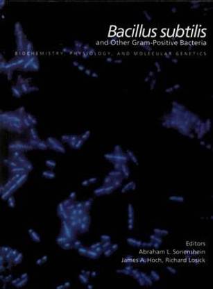 Bacillus subtilis and Other Gram-Positive Bacteria