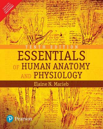 Essentials of Human Anatomy and Physiology 10 Edition