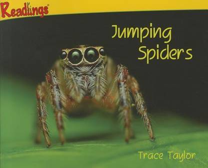 Jumping Spiders