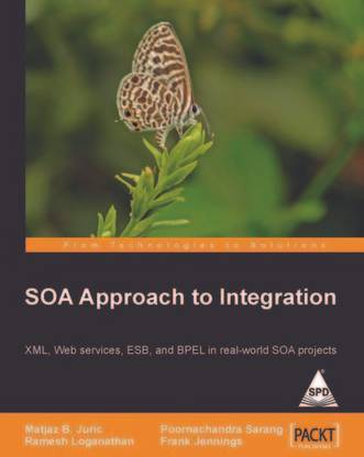 Soa Approach to Integration 0th Edition