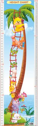 Height Chart: Book 6