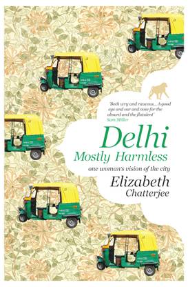 Delhi  - One Womans Vision of the City