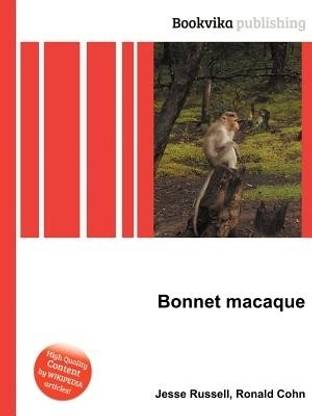 Bonnet Macaque