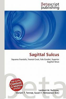Sagittal Sulcus