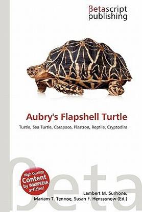 Aubry's Flapshell Turtle