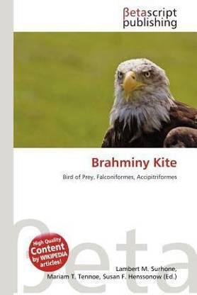 Brahminy Kite