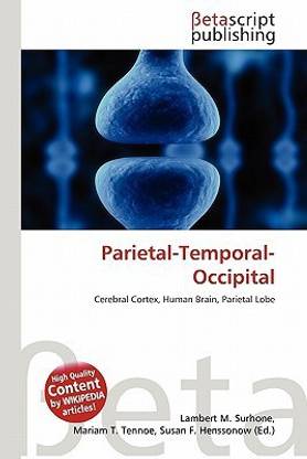 Parietal-Temporal-Occipital