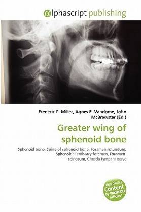 Greater Wing of Sphenoid Bone