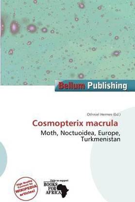 Cosmopterix Macrula