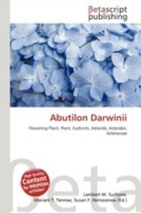 Abutilon Darwinii