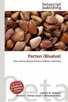Pecten (Bivalve)