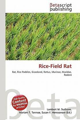 Rice-Field Rat