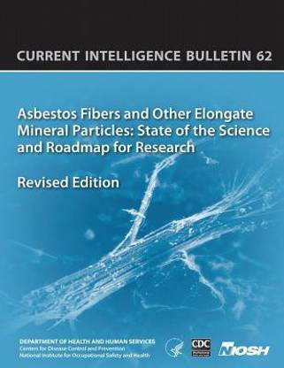 Asbestos Fibers and Other Elongate Mineral Particles