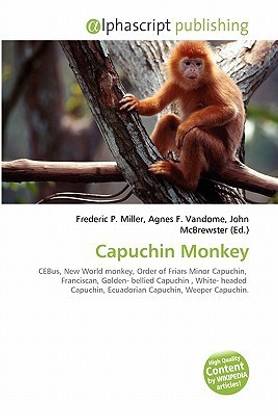 Capuchin Monkey