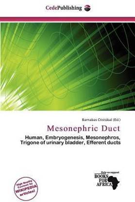 Mesonephric Duct