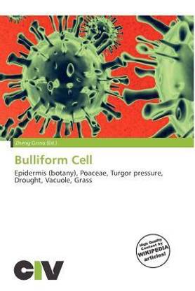 Bulliform Cell
