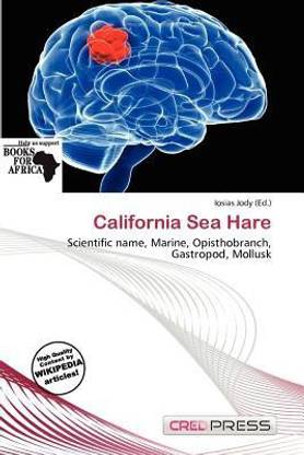 California Sea Hare