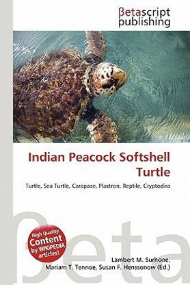 Indian Peacock Softshell Turtle