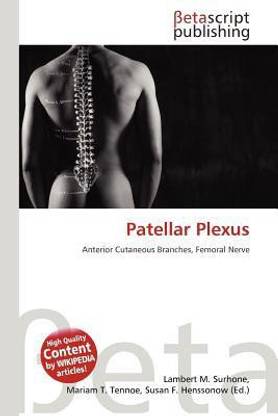 Patellar Plexus