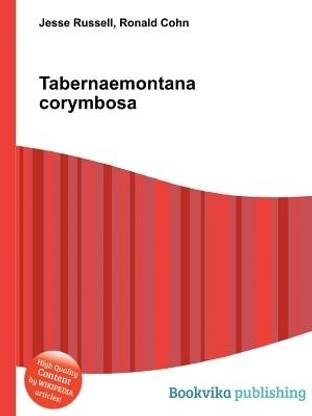 Tabernaemontana Corymbosa