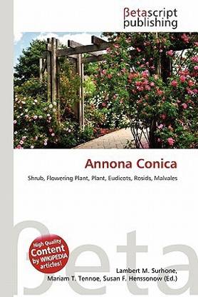 Annona Conica