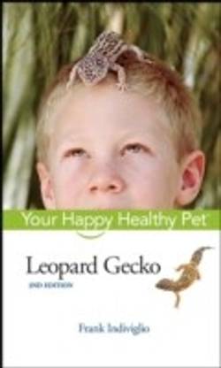 Leopard Gecko