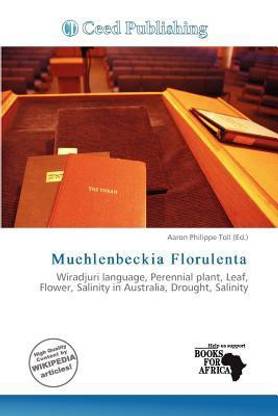 Muehlenbeckia Florulenta
