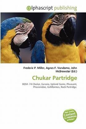 Chukar Partridge